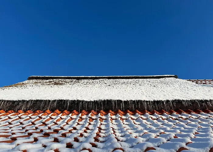 Lindenhuus-Urlaub Unter Einem Teilreetdach-Terrasse - Nahe Norden-Norddeich