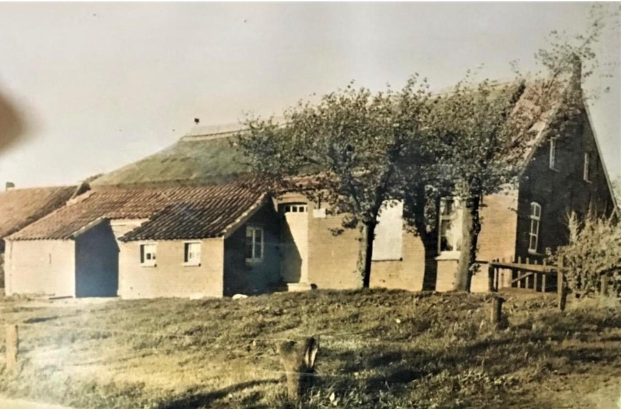 Lindenhuus-urlaub Unter Einem Teilreetdach-terrasse - Nahe Norden-norddeich Holiday home